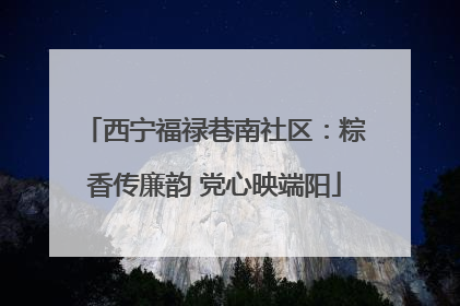 西宁福禄巷南社区：粽香传廉韵 党心映端阳